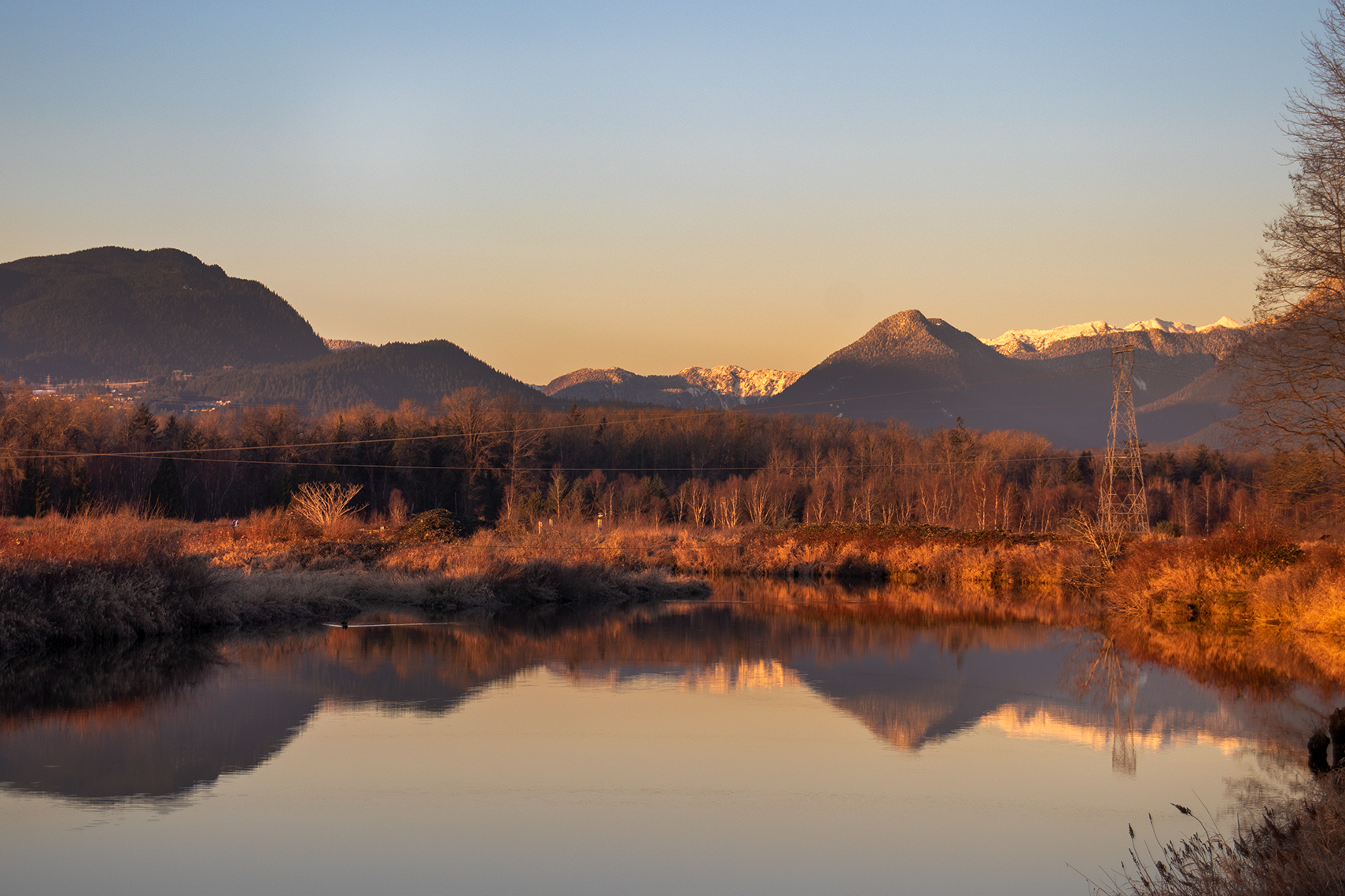 Artwork 29 by Kiara Todhunter